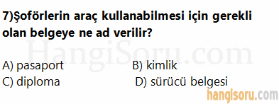 Soru 7