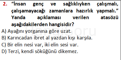 Soru 2