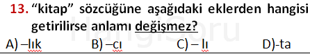 Soru 13