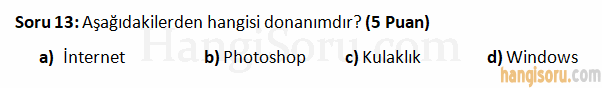 Soru 13