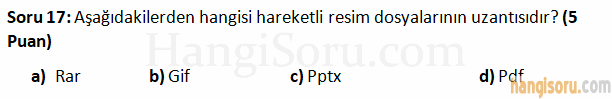 Soru 17