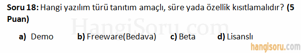 Soru 18