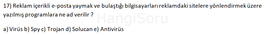 Soru 17