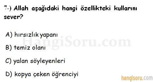 Soru 7