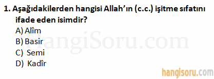 Soru 1