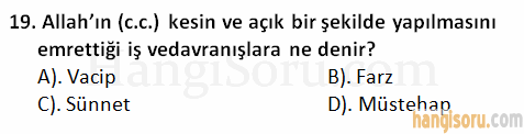 Soru 19