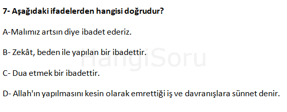 Soru 7