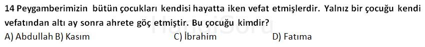 Soru 13