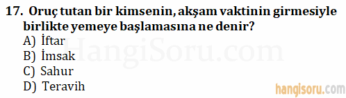 Soru 17