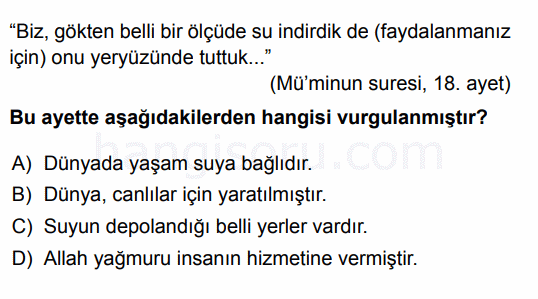 Soru 11