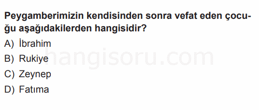 Soru 12