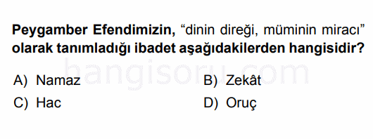 Soru 8