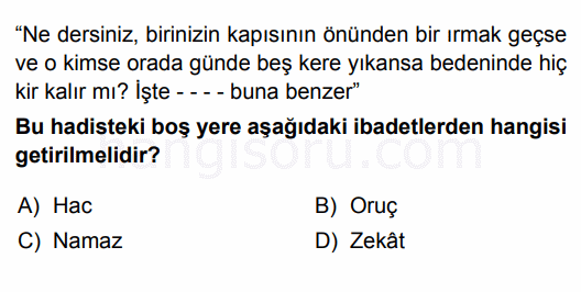 Soru 8