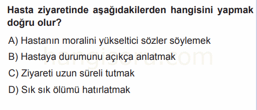 Soru 1