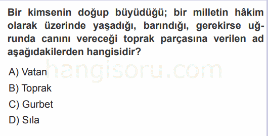 Soru 1
