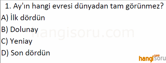 Soru 1