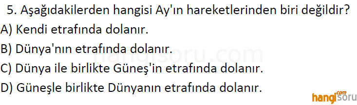 Soru 5
