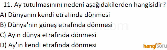 Soru 11