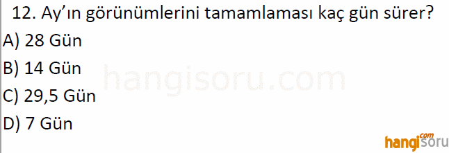 Soru 12