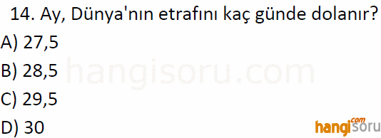 Soru 14