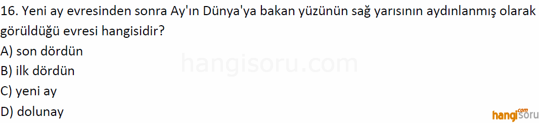 Soru 16