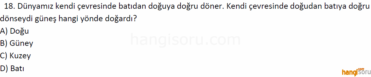 Soru 18