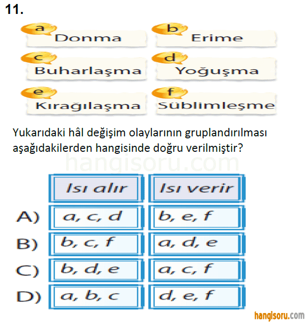 Soru 11