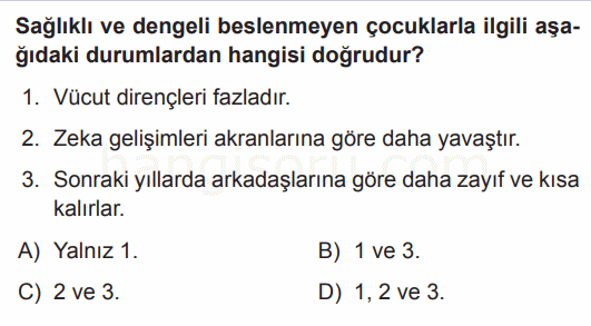 Soru 1