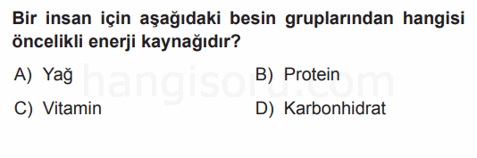 Soru 4