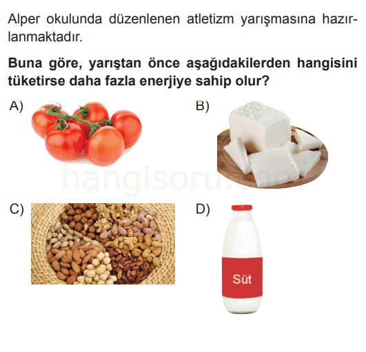 Soru 5