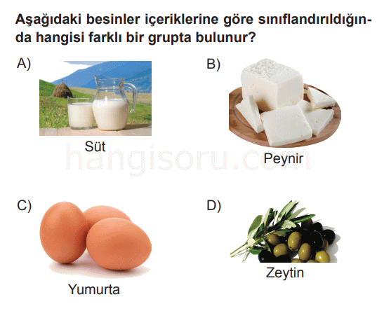 Soru 7