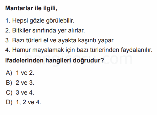 Soru 6