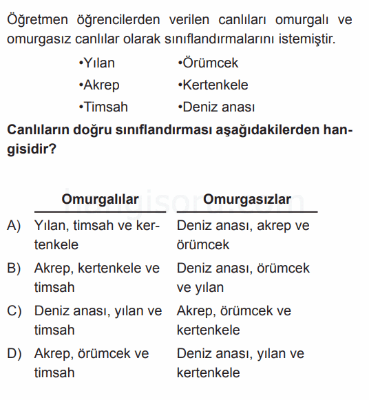 Soru 10