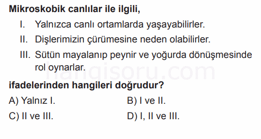 Soru 4