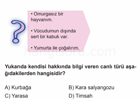 Soru 6