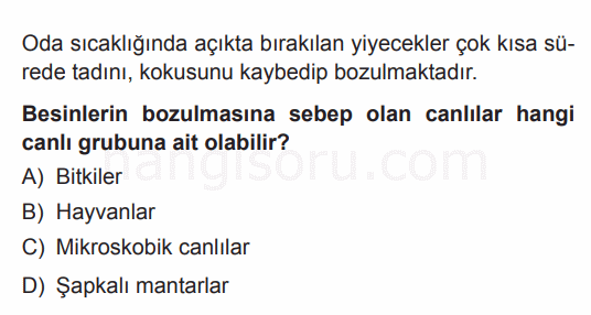 Soru 9