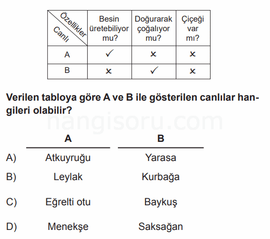 Soru 10