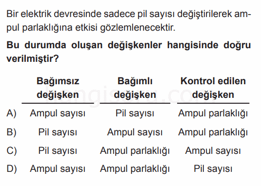 Soru 10