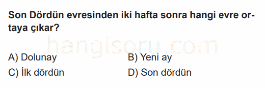 Soru 3