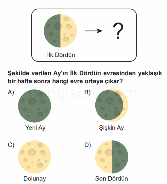 Soru 5