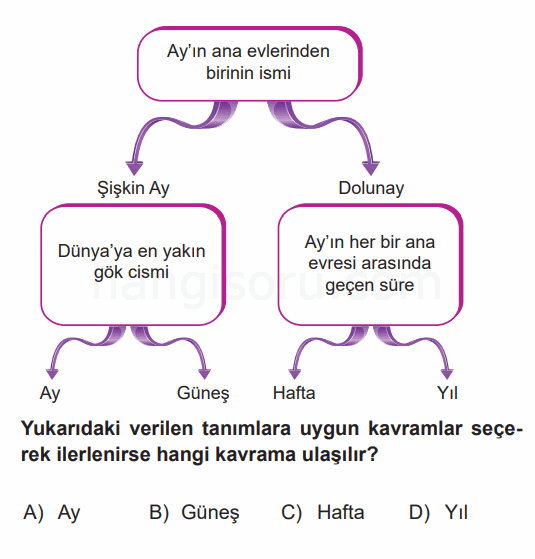 Soru 7