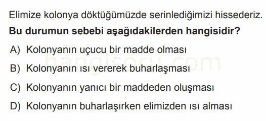Soru 6