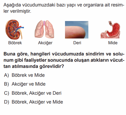 Soru 1