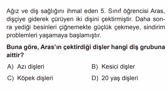Soru 3