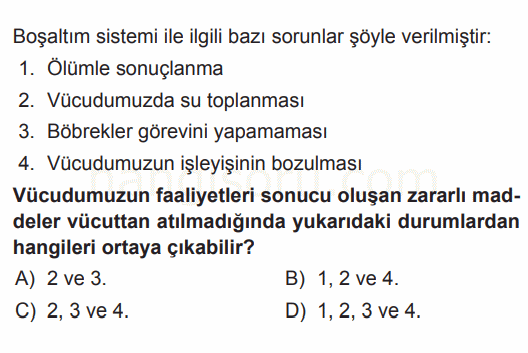 Soru 8
