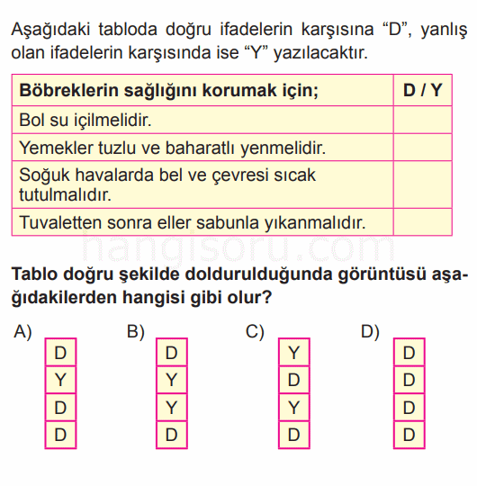 Soru 10