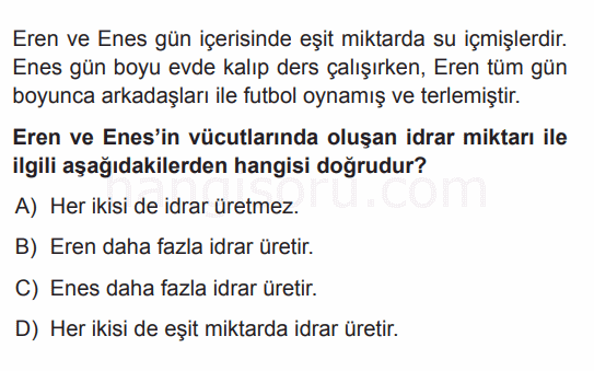 Soru 12