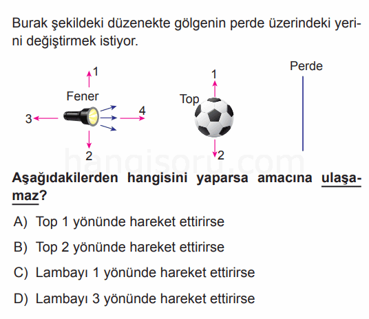 Soru 6