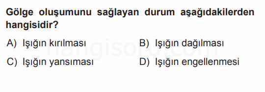 Soru 10