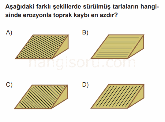 Soru 4